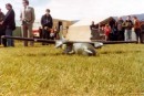 img188.jpg