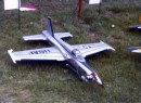Wahl et son Northrop F5E.jpg