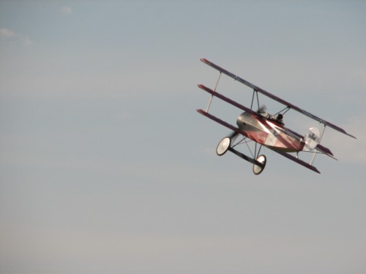 La Ferté-Alais _20060624_056.jpg