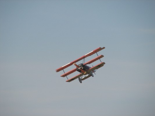 La Ferté-Alais _20060624_060.jpg