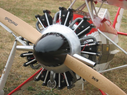 La Ferté-Alais _20060625_074.jpg