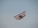 La Ferté-Alais _20060624_060.jpg