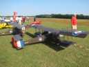 IMG_1769.JPG