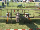 IMG_1771.JPG