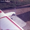 avions-Marcel-13.jpg