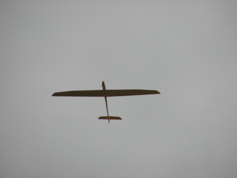 2006 Baracuda (4).JPG