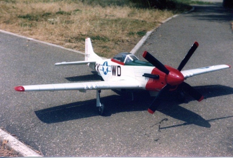 img254.jpg