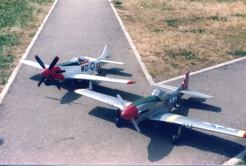 img257.jpg