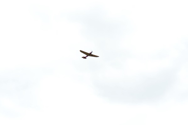 DSC_0107.jpg