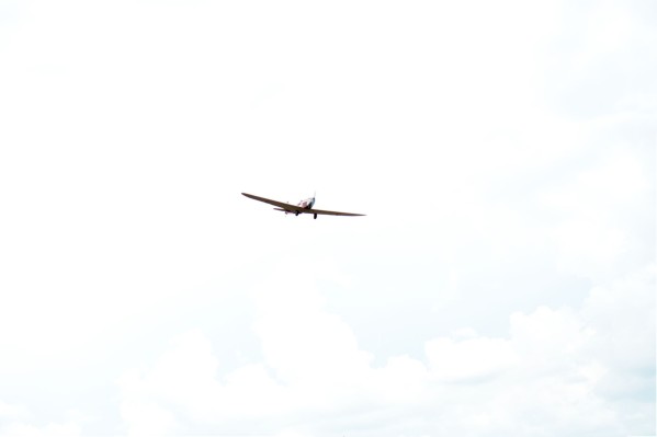 DSC_0114.jpg