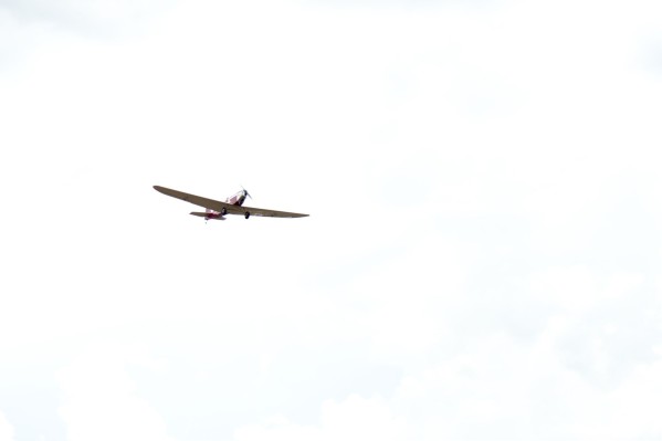 DSC_0115.jpg