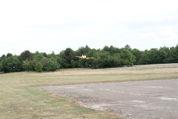 DSC_0175.jpg