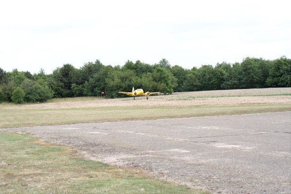 DSC_0176.jpg