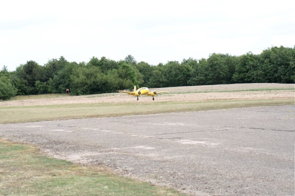 DSC_0178.jpg