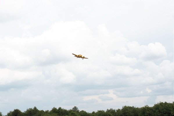 DSC_0187.jpg