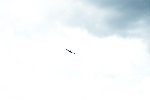 DSC_0081.jpg