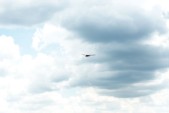 DSC_0039.jpg