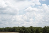 DSC_0004.jpg
