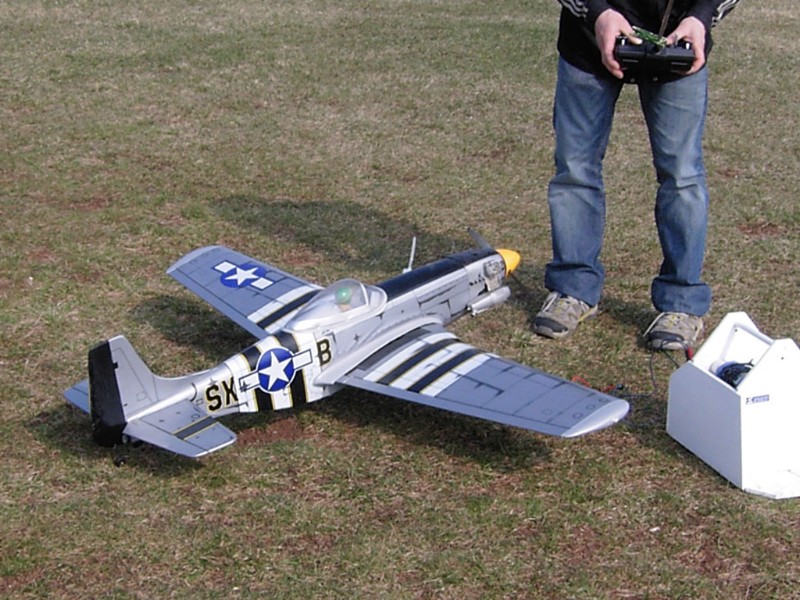 P51.JPG