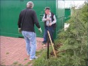 travaux-2008-09.jpg