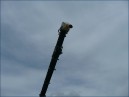 Travaux-2009-20.jpg