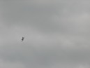 2008 La Ferté Gauchet_040.JPG