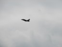 2008 La Ferté Gauchet_041.JPG