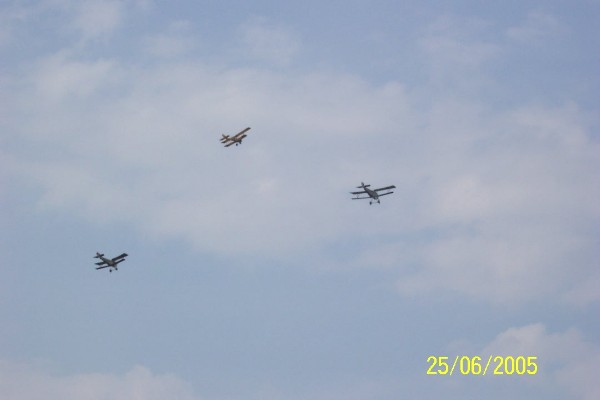 064 La Ferté Alais 2005.jpg