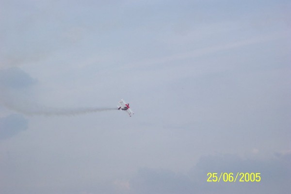 078 La Ferté Alais 2005.jpg